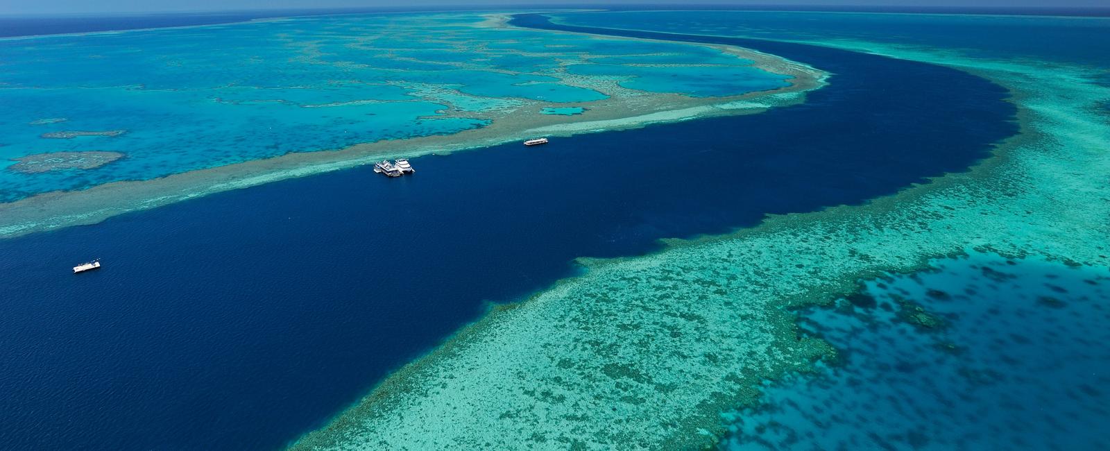 If you fly over the great barrier reef you can see one of its reefs is shaped like a heart