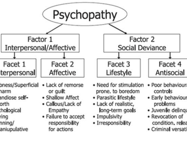 1 in 5 american ceo s have clinically significant psychopathic traits