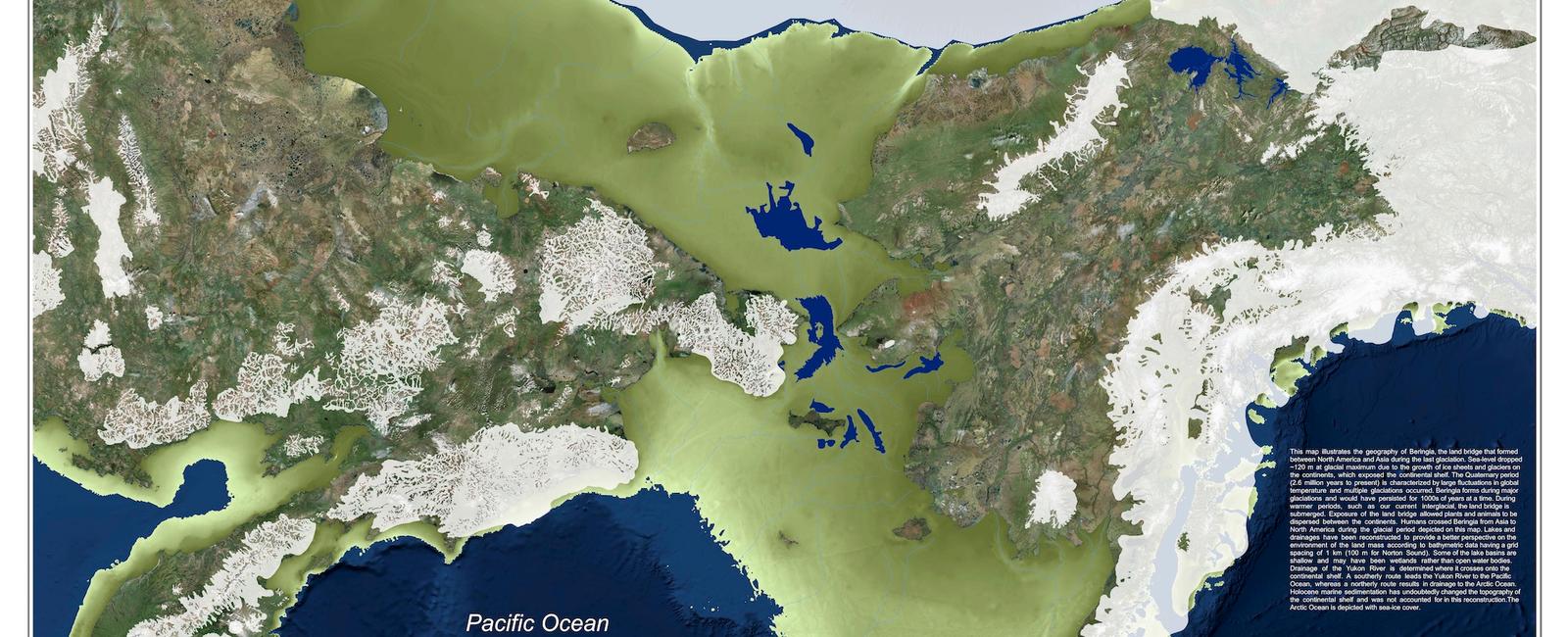 The bering strait is theorized to be a former land bridge between asia and north america during the ice age as the strait is shallow averaging only 50 meters in depth this would have allowed plants and animals to move between continents
