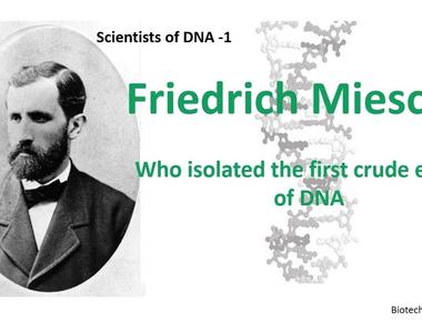 Although friedrich miescher discovered dna in 1869 it wasn t until 1943 that scientists connected it to genetics they previously believed that proteins stored genetic data