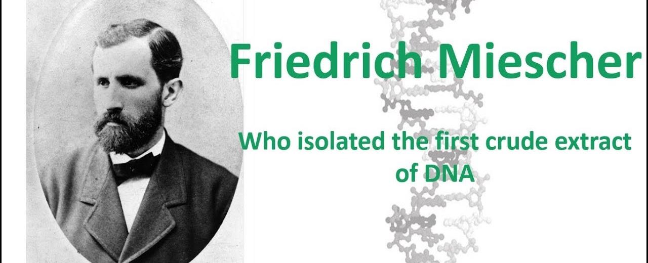 Although friedrich miescher discovered dna in 1869 it wasn t until 1943 that scientists connected it to genetics they previously believed that proteins stored genetic data