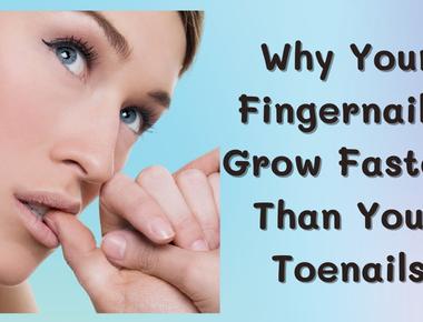 Fingernails grow nearly four times faster than toenails