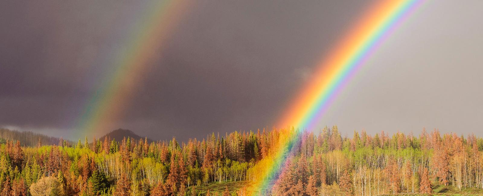 A rainbow can be seen only in the morning or late afternoon it can occur only when the sun is 40 degrees or less above the horizon