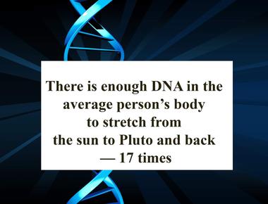 There is enough dna in the average person s body to stretch from the sun to pluto and back 17 times