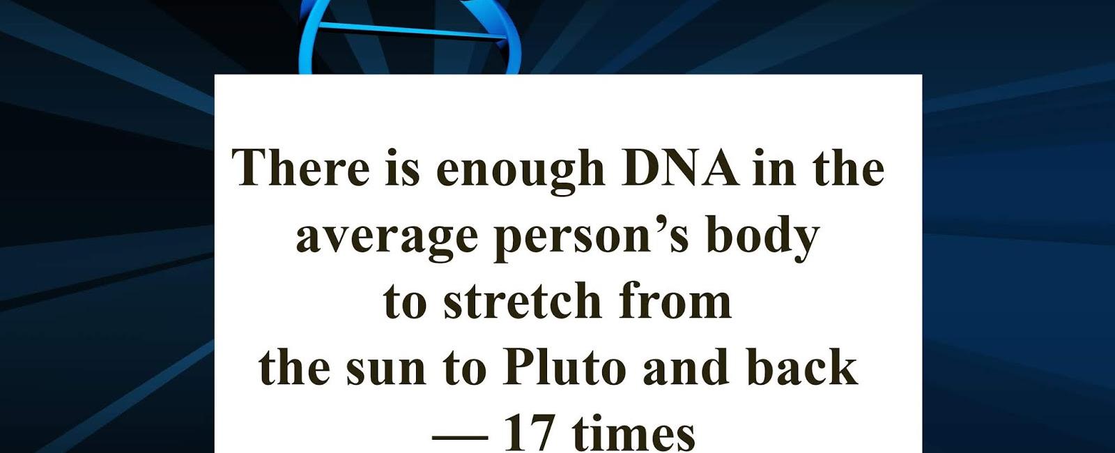 There is enough dna in the average person s body to stretch from the sun to pluto and back 17 times