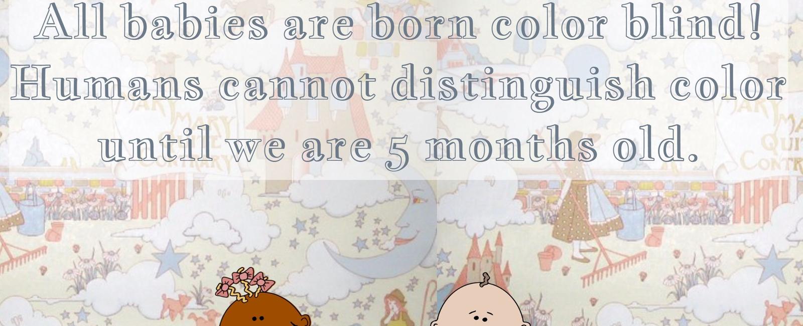 All babies are color blind when they are born