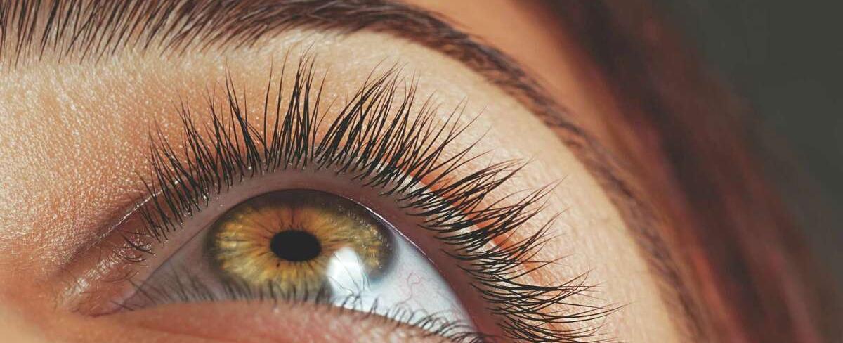 The average lifespan of an eyelash is about five months