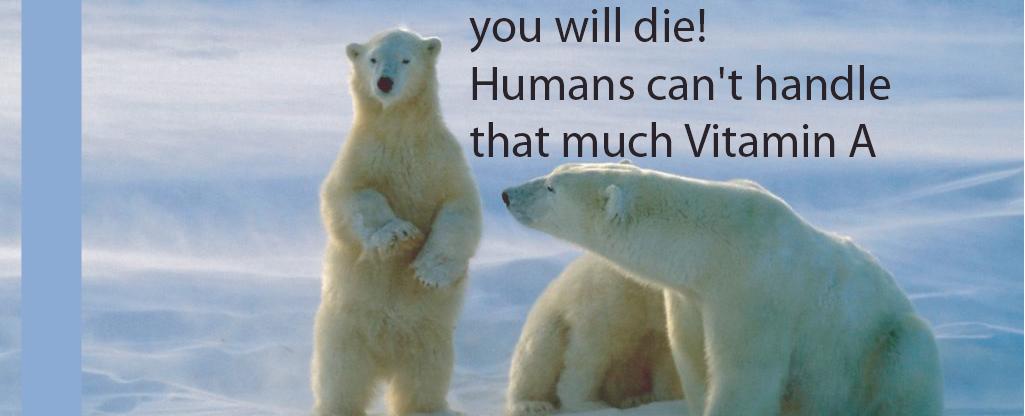 If you eat a polar bear s liver you will die of a vitamin a overdose