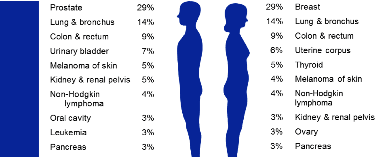 One third of all cancers are caused by lifestyle factors