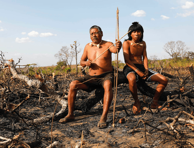 Fewer than 200 000 natives live in the amazon rainforest today