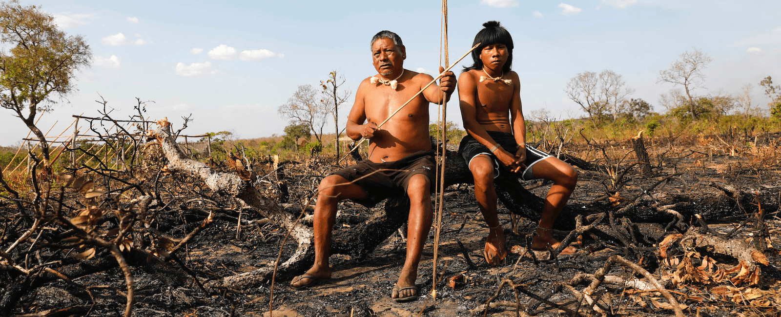 Fewer than 200 000 natives live in the amazon rainforest today