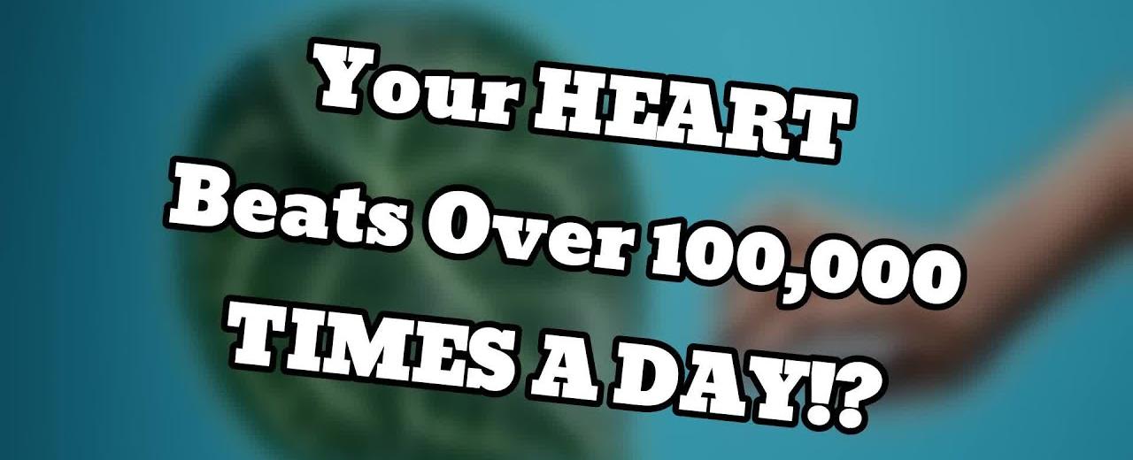 Your heart beats over 100 000 times a day
