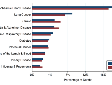 In 2007 around 13 of all deaths worldwide were caused by cancer the branch of medicine related to cancer study and treatment is known as oncology