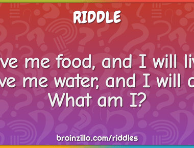 I can fall off a building and live but in water i will die what am i paper