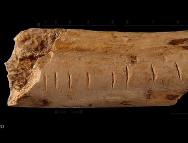 Neanderthals developed the first synthetic substance birch tar used as an adhesive for multi part tools