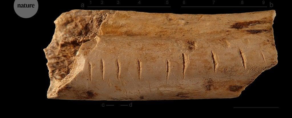 Neanderthals developed the first synthetic substance birch tar used as an adhesive for multi part tools