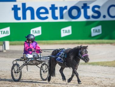 A pony trots his way through the world on these hoof