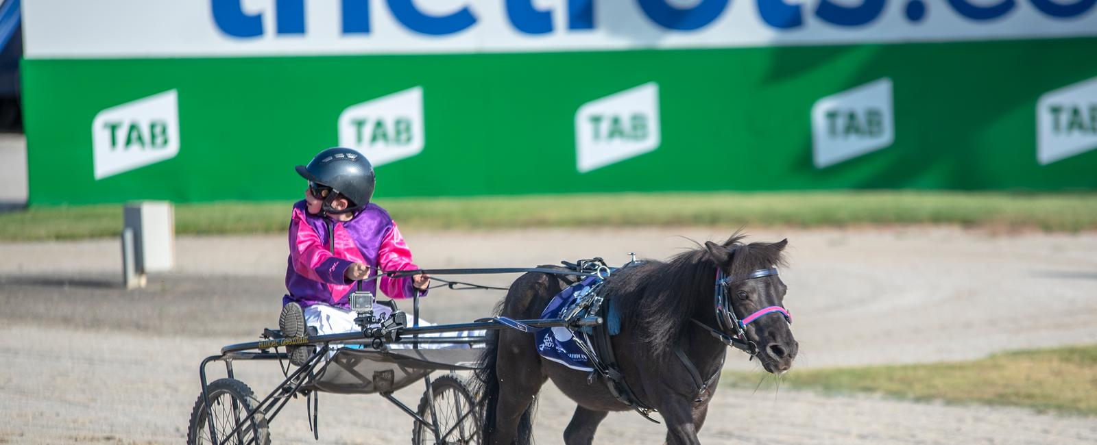 A pony trots his way through the world on these hoof