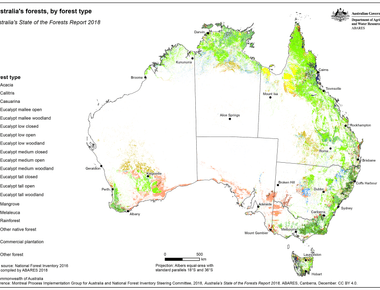 What country has the world s most ancient forest australia