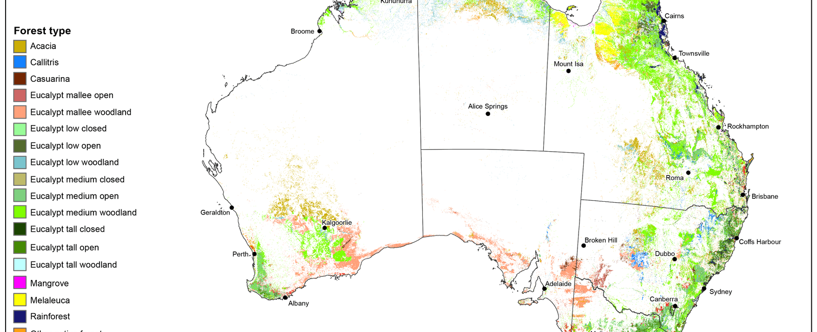 What country has the world s most ancient forest australia