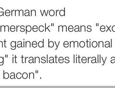 The german word kummerspeck means excess weight gained from emotional overeating literally grief bacon