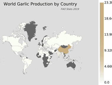 China is the largest producer of garlic producing over 10 million tons in 2008 and accounting for over 75 of world output