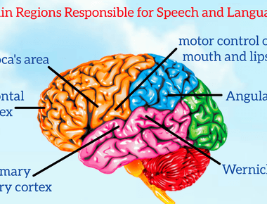 Our brains try to make boring speeches more interesting