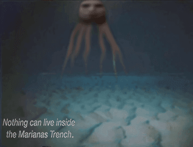 In the marianas trench there is no light and the conditions in the trench are hostile and acidic but it is home to many organisms and small creatures including crustaceans and amphipods