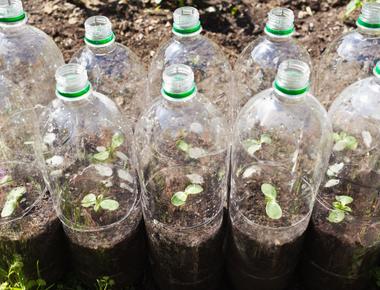 Keep your garden green with an old water bottle