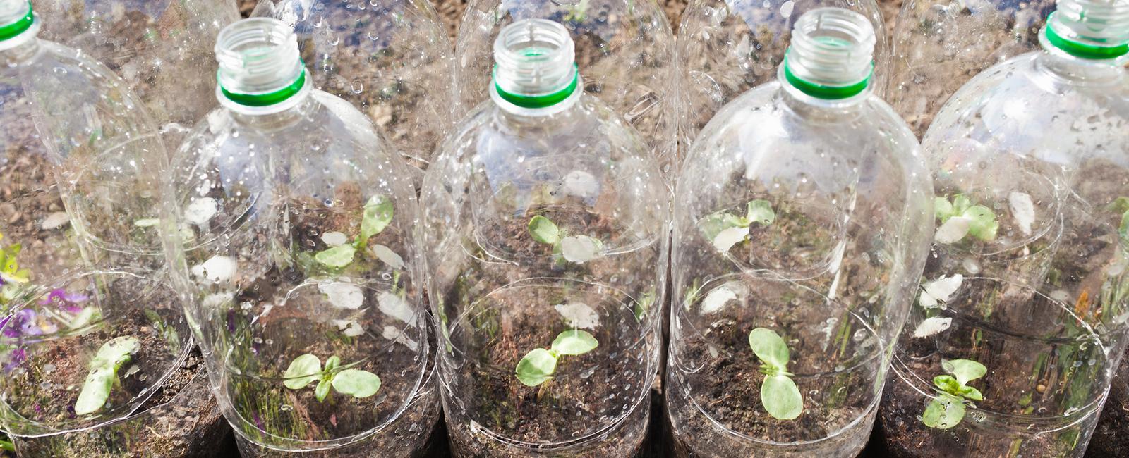 Keep your garden green with an old water bottle