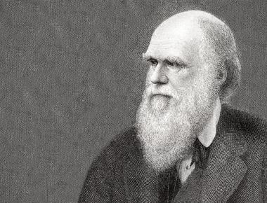 England is part of the united kingdom and birthplace to scientists such as charles darwin and isaac newton