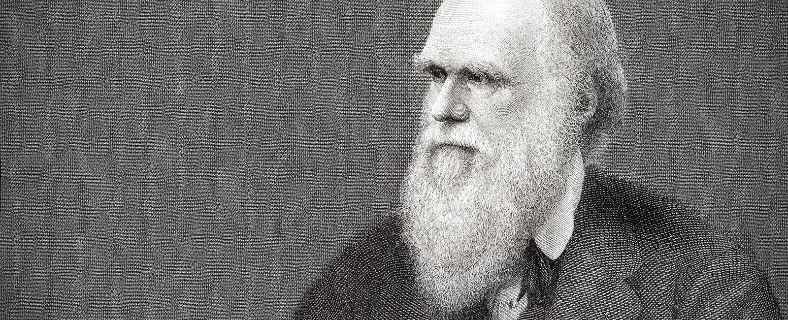 England is part of the united kingdom and birthplace to scientists such as charles darwin and isaac newton