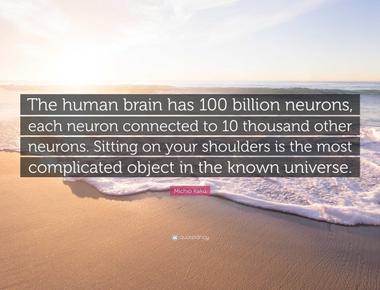 The human brain has about 100 000 000 000 100 billion neurons