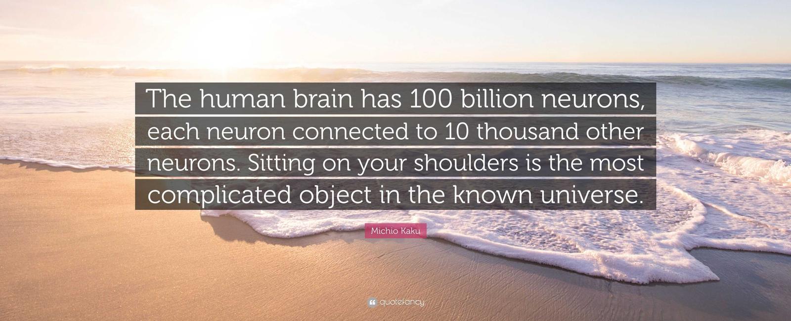 The human brain has about 100 000 000 000 100 billion neurons