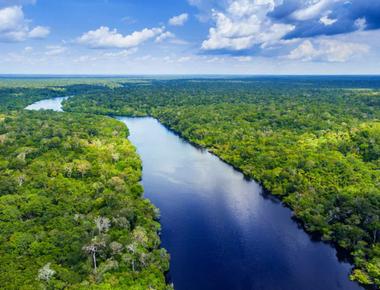 The amazon rainforest encompasses an area of 5 500 000 sq kilometres 2 100 000 sq mi which is two times the size of argentina