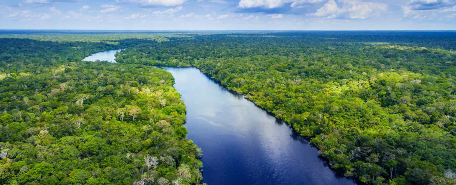 The amazon rainforest encompasses an area of 5 500 000 sq kilometres 2 100 000 sq mi which is two times the size of argentina