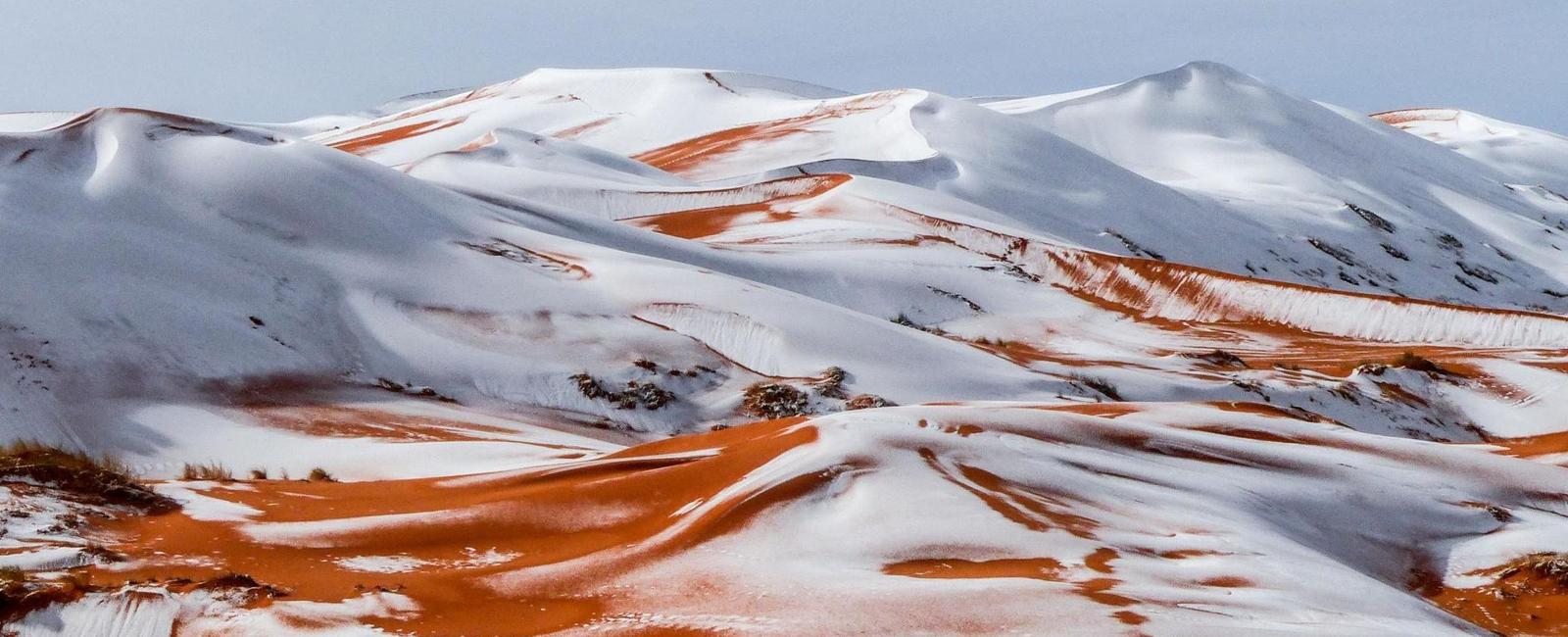 It snows in the sahara desert