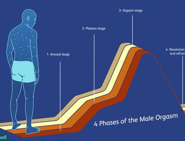 The typical male orgasm lasts 6 seconds for females they generally last 20 seconds