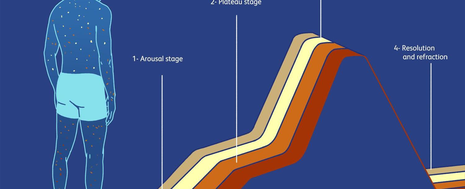 The typical male orgasm lasts 6 seconds for females they generally last 20 seconds