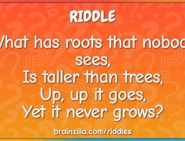 I have roots nobody sees i am taller than trees up up i go but i never grow what am i mountain