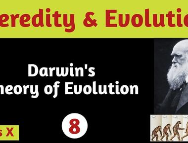 Best known for his theory of evolution natural selection and survival of the fittest charles darwin married his wealthy first cousin