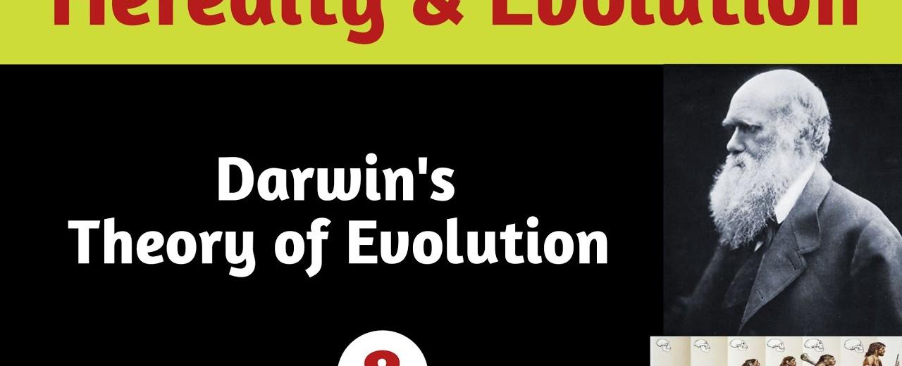 Best known for his theory of evolution natural selection and survival of the fittest charles darwin married his wealthy first cousin