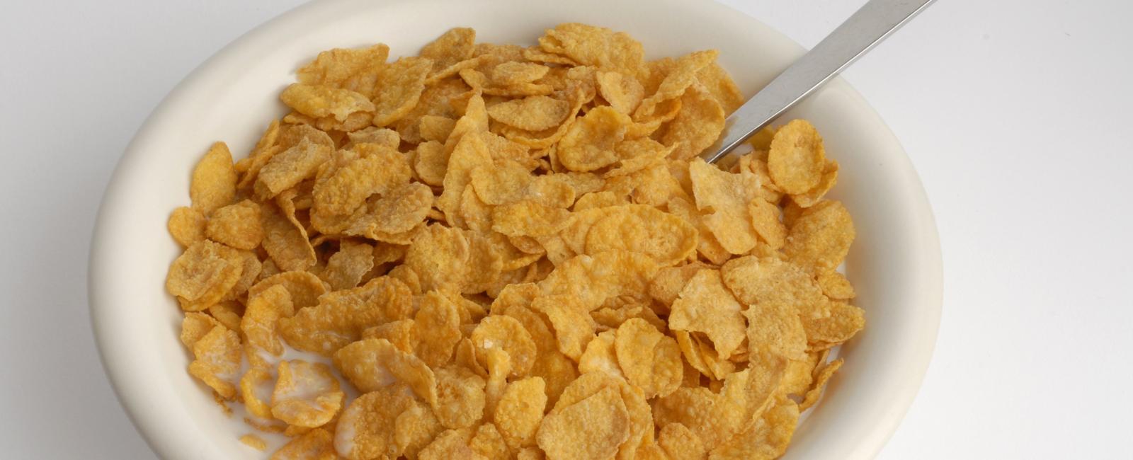 Cornflakes have more genes than people do