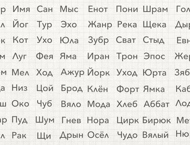 The russian language does not have words for the a or an