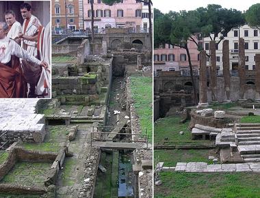 The spot where roman senators murdered julius caesar is now home to a no kill animal shelter volunteers at the infamous site have been caring for homeless cats since 1993