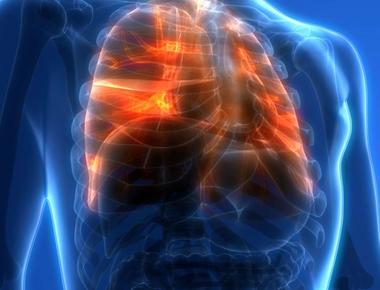 Lungs do more than help us breathe a surprising discovery has found they also make blood the organ present in mammals is believed to produce more than 10 million platelets tiny blood cells per hour