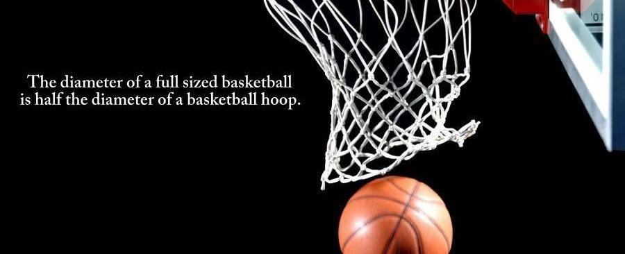 The diameter of a full sized basketball is half the diameter of a basketball hoop