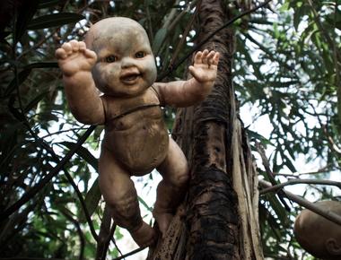 There is a haunted island in mexico covered in dolls natives say the possessed dolls killed people they also say the dolls open their eyes and move on their own