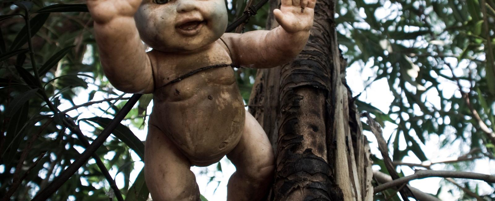 There is a haunted island in mexico covered in dolls natives say the possessed dolls killed people they also say the dolls open their eyes and move on their own