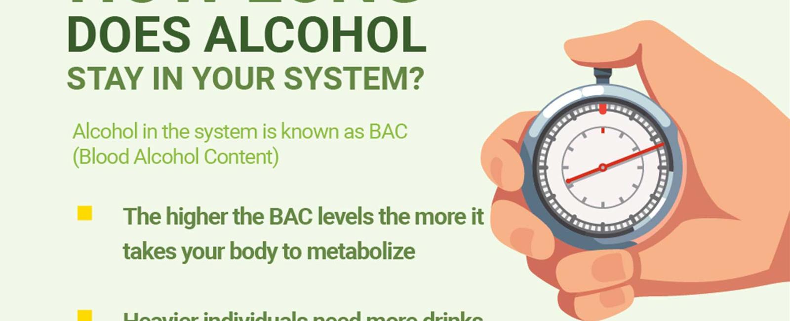 Alcohol takes over your body instantly because your stomach sends it directly into your bloodstream it takes only 5 minutes for your brain to react to alcohol then you experience its effects within 10 minutes